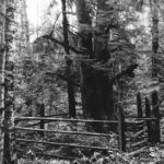 Фото С. Лотырева (1995)