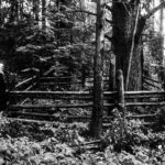 Фото С. Лотырева (1995)