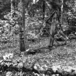 Скитское кладбище. Фото С. Лотырева (1995)