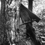 Скитское кладбище. Фото С. Лотырева (1995)