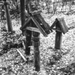 Кладбище д. Шадрино. Фото С. Лотырева (1995)