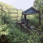 Родник у больницы. С. Наруксово,  Починковский р-н. Фото из архива ИРиСК (2002)