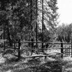 «Могилы сожженных» возле д. Осинки. Фото С. Лотырева (1995)